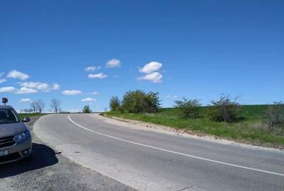 Teren de 17800 mp, în Mischii - 3