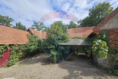 Casă cu 5 camere cu Teren 4484 Mp în Balinț - 7