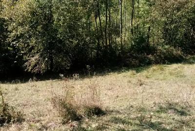 Teren de 6209 mp, în Lelese - 1