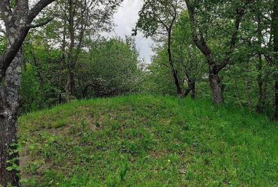 Teren de 5150 mp, în Șotrile - 6