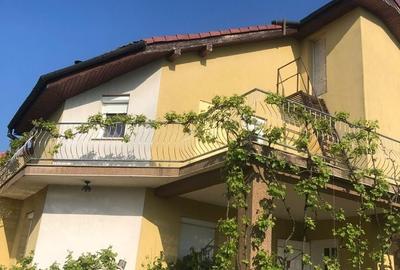 Casă cu 9 camere decomandat cu Teren 3000 Mp în Vladimirescu - 7