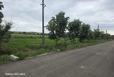 Teren de 3400 mp, în Copăceanca - 2