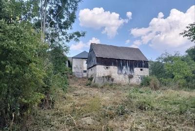 Casă cu Teren 2500 Mp în Căpușu Mare