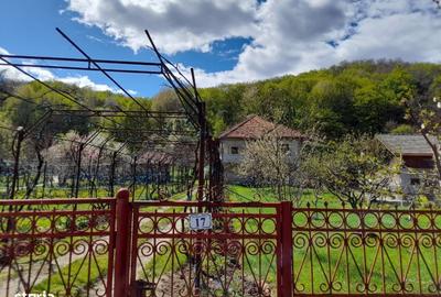 Casă cu 4 camere în Gureni - 11