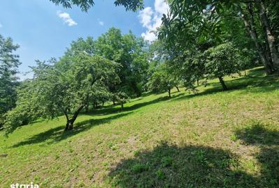 Teren de 3910 mp, în Secăriei - 11
