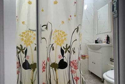 Garsonieră decomandată în Girocului - 8