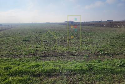 Teren agricol extravilan de 3000 mp, în Săcălaz - 3