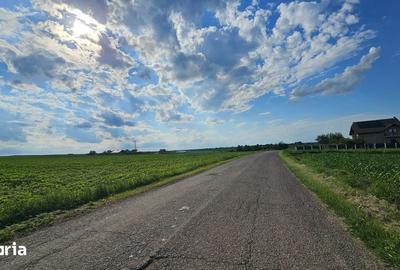 Teren de 29800 mp, în Horlești - 2