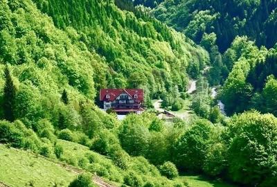 Casă cu 4 camere în Valea Doftanei - 5