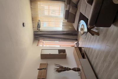 Apartament cu 2 camere semidecomandat în Chișoda - 8