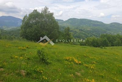 Teren Construcții intravilan de 11396 mp, în Moieciu de Jos - 6
