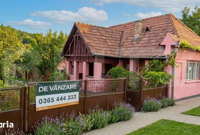 Casă cu 2 camere cu Teren 2200 Mp în Central