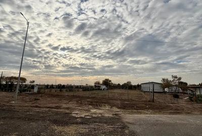 Teren de 1100 mp, în Călacea - 1