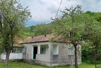 Casă cu 4 camere cu Teren 5574 Mp în Vulcăneasa - 4
