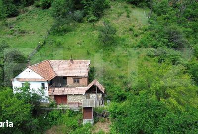 Casă cu 3 camere semidecomandat cu Teren 1343 Mp în Săsciori - 9