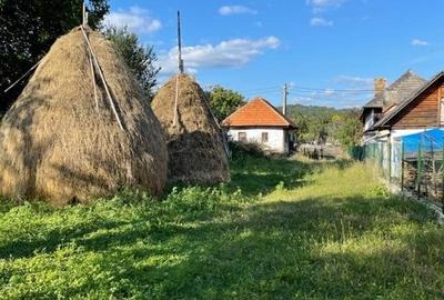 Teren Construcții intravilan de 1100 mp, în Albeștii Ungureni - 6