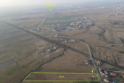 Teren Construcții intravilan de 11000 mp, în Moșnița Nouă - 1
