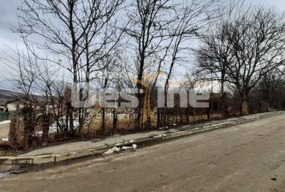 Teren Construcții intravilan de 10435 mp, în Huși - 3