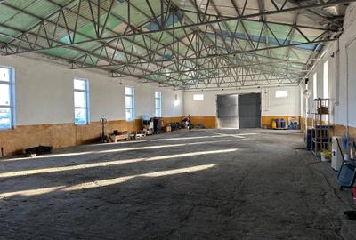 Spațiu industrial, de 700 mp, în Exterior Est