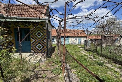 Casă cu 3 camere în Drighiu