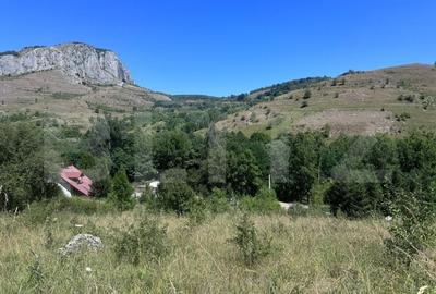 Teren extravilan de 6000 mp, în Aiudul de Sus