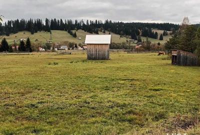 Teren de 9916 mp, în Coșna - 3
