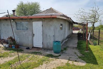 Casă cu 2 camere cu Teren 1500 Mp în Copaciu - 6