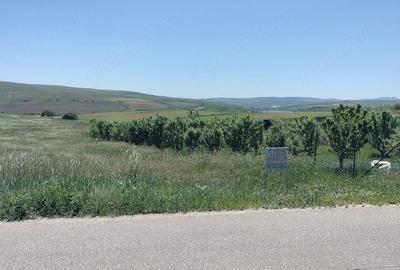 Teren de 1000 mp, în Rediu - 4