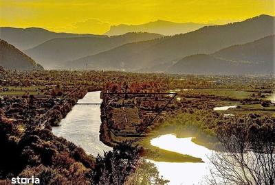 Teren de 85000 mp, în Alexandru cel Bun - 2