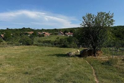 Teren Construcții intravilan de 3664 mp, în Henig - 1