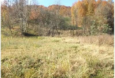 Teren de 1000 mp, în Drăgăneasa - 5