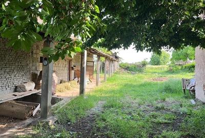 Casă cu 2 camere în Marotinu de Jos - 3