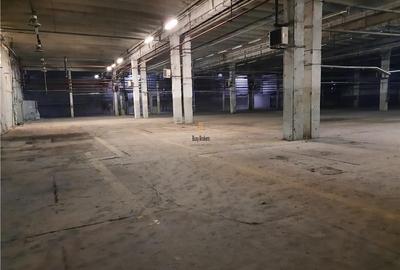 Spațiu industrial, de 2,500 mp, în Est - 8