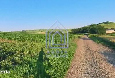 Teren de 7400 mp, în Moara - 3