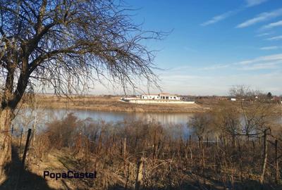 Teren Construcții intravilan de 1333 mp, în Moara Vlăsiei - 3