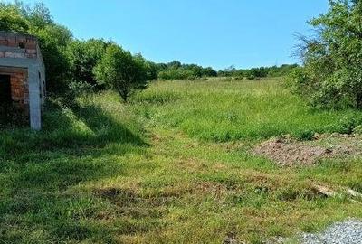 Teren agricol extravilan de 8008 mp, în Hășdat