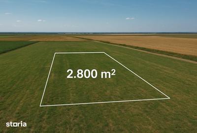 Teren de 2800 mp, în Daia Română