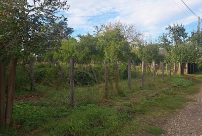 Teren de 1265 mp, în Strunga - 3