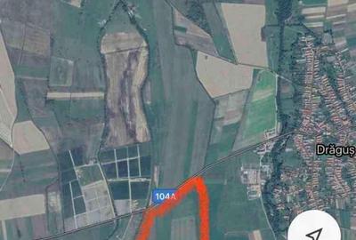 Teren de 41000 mp, în Drăguș - 1