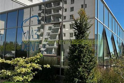 Spațiu comercial, de 180 mp, în Domenii - 1