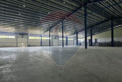 Spațiu industrial, de 9,618 mp, în Central - 8