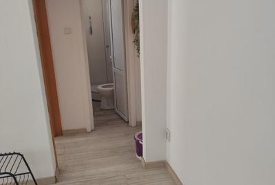 Apartament cu 2 camere semidecomandat în Brusturi - 3
