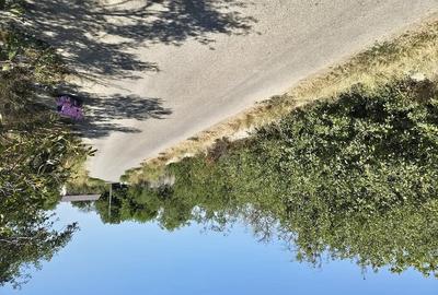 Teren de 1200 mp, în Varlaam - 9