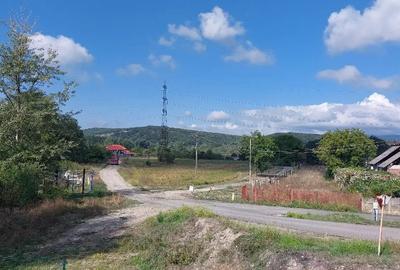 Teren de 10000 mp, în Central