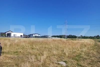 Teren de 907 mp, în Copăceni