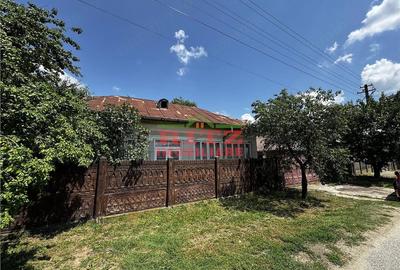 Casă cu 4 camere cu Teren 2437 Mp în Osica de Sus
