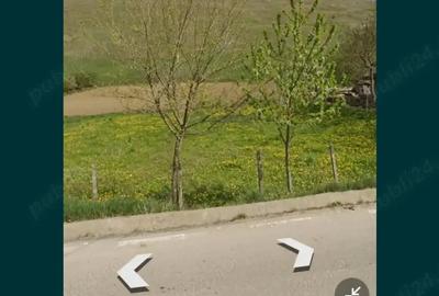 Teren de 3500 mp, în Băiceni