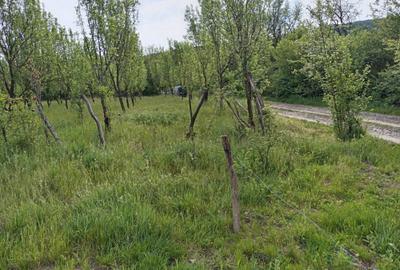 Teren de 3600 mp, în Central - 7