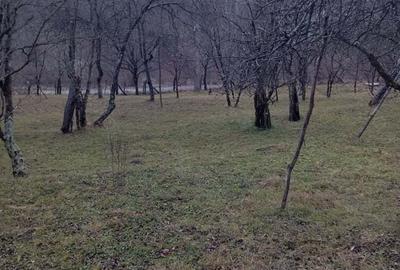 Teren de 2000 mp, în Ocina de Sus - 3
