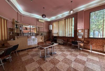 Spațiu comercial, de 48 mp, în Inel II
